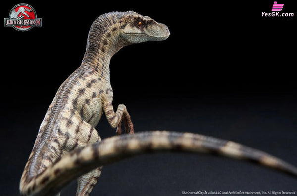 1/10 Statue Jurassic Park Iii Female Velociraptor Licensed By Universal Pictures - Wan Long Tang