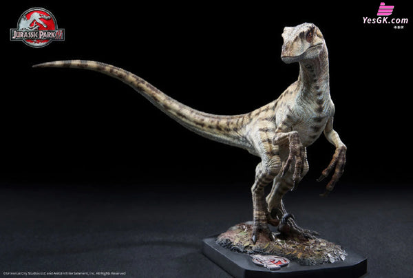 1/10 Statue Jurassic Park Iii Female Velociraptor Licensed By Universal Pictures - Wan Long Tang