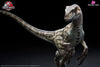 1/10 Statue Jurassic Park Iii Female Velociraptor Licensed By Universal Pictures - Wan Long Tang