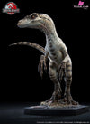 1/10 Statue Jurassic Park Iii Female Velociraptor Licensed By Universal Pictures - Wan Long Tang