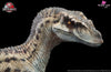 1/10 Statue Jurassic Park Iii Female Velociraptor Licensed By Universal Pictures - Wan Long Tang