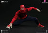 1/12 Spider Hunman Wrestler RM-008 Action Figure - Remad Custom Studio [Pre-Order] Original Design