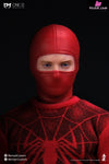 1/12 Spider Hunman Wrestler RM-008 Action Figure - Remad Custom Studio [Pre-Order] Original Design