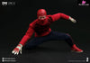 1/12 Spider Hunman Wrestler RM-008 Action Figure - Remad Custom Studio [Pre-Order] Original Design