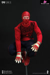 1/12 Spider Hunman Wrestler RM-008 Action Figure - Remad Custom Studio [Pre-Order] Original Design