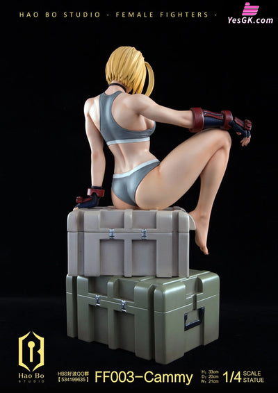 1/4 Statue Female Fighter Series FF003 Cammy - HAO BO Studio [Pre-Order] Others