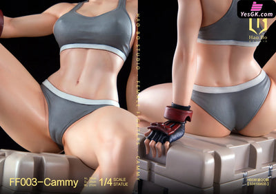 1/4 Statue Female Fighter Series FF003 Cammy - HAO BO Studio [Pre-Order] Others