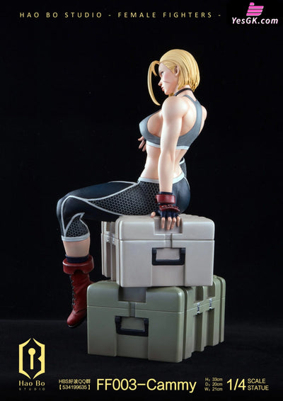1/4 Statue Female Fighter Series FF003 Cammy - HAO BO Studio [Pre-Order] Others