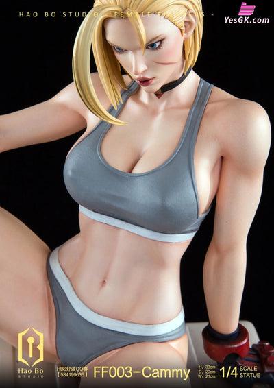 1/4 Statue Female Fighter Series FF003 Cammy - HAO BO Studio [Pre-Order] Others
