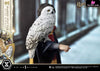 1/6 Harry Potter With Hedwig Statue - Prime 1 Studio [Pre - Order]