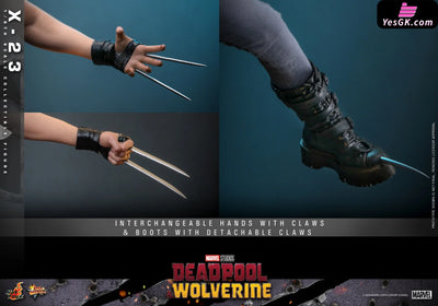 Marvel 1/6 MMS781 Deadpool & Wolverine X-23 (Licensed) Action Figure - Hottoys Studio [Pre-Order] MARVEL
