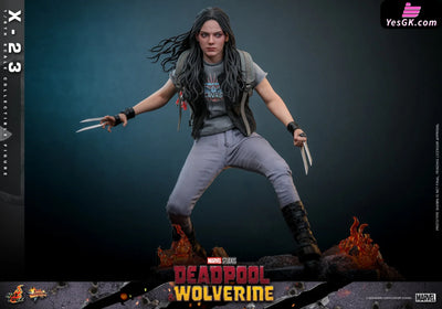 Marvel 1/6 MMS781 Deadpool & Wolverine X-23 (Licensed) Action Figure - Hottoys Studio [Pre-Order] MARVEL