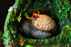 My Neighbor Totoro Hayao Miyazaki Desktop Scene Series 013 Totoro in the Tree Hole 1/6 GK Statue - OPM Studio [In-Stock]