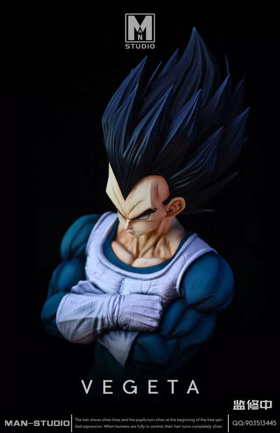 Dragon Ball Standing Character #4 Vegeta 1/6 GK Statue - MAN Studio [Pre-Order]
