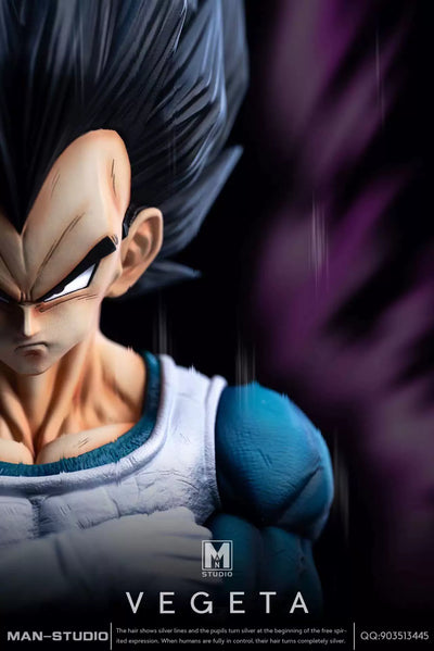 Dragon Ball Standing Character #4 Vegeta 1/6 GK Statue - MAN Studio [Pre-Order]