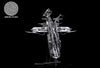 Original Giger Cross GK Statue - REBORN Studio [Pre-Order]