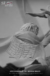 Attack on Titan SSS Titan Battle Series Levi Ackerman VS Reiner Braun 1/6 GK Statue - Sure Studio [Pre-Order]