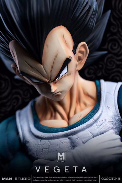 Dragon Ball Standing Character #4 Vegeta 1/6 GK Statue - MAN Studio [Pre-Order]