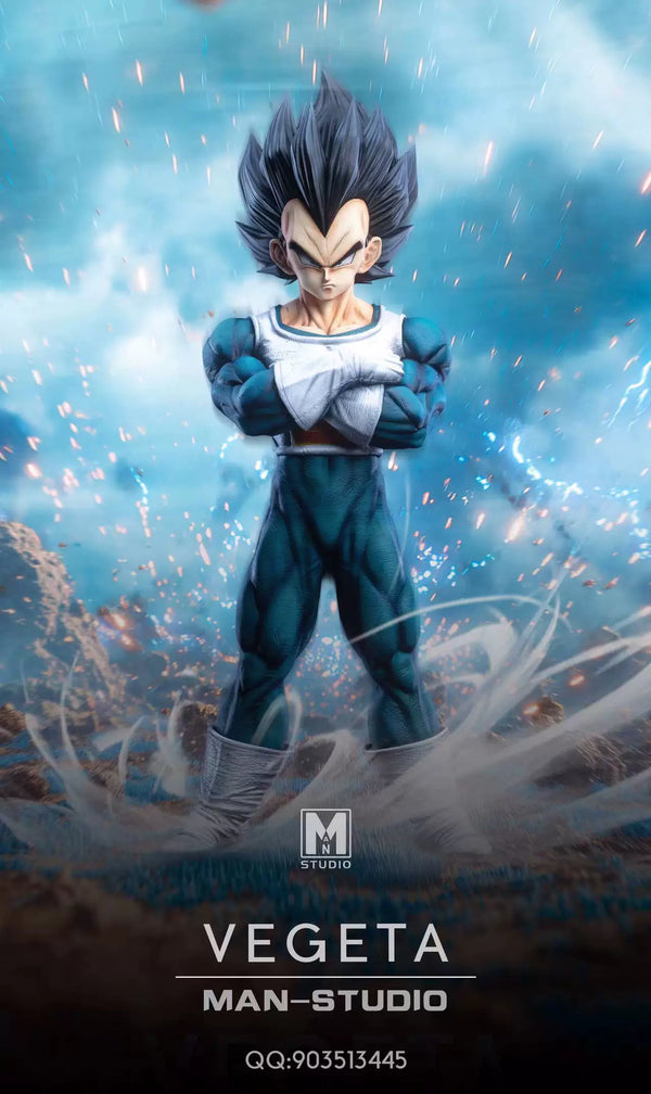Dragon Ball Standing Character #4 Vegeta 1/6 GK Statue - MAN Studio [Pre-Order]