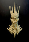 Original The Four Horsemen of the Apocalypse Conquer Fridge Magnet GK Statue - Primordial Studio [Pre-Order]