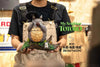 My Neighbor Totoro Hayao Miyazaki Desktop Series 07 Totoro Playing the Flute GK Statue - Wu Yu Studio [In-Stock]