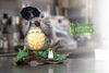 My Neighbor Totoro Hayao Miyazaki Desktop Series 07 Totoro Playing the Flute GK Statue - Wu Yu Studio [In-Stock]