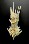 Original The Four Horsemen of the Apocalypse Conquer Fridge Magnet GK Statue - Primordial Studio [Pre-Order]