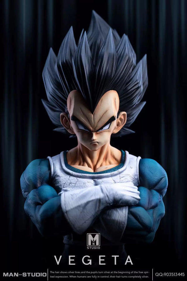Dragon Ball Standing Character #4 Vegeta 1/6 GK Statue - MAN Studio [Pre-Order]