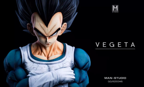 Dragon Ball Standing Character #4 Vegeta 1/6 GK Statue - MAN Studio [Pre-Order]