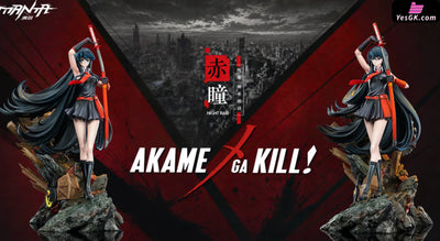 Akame Ga Kill Akame 1/6 Statue - Manta Studio [Pre-Order Closed] - Full Payment - Others