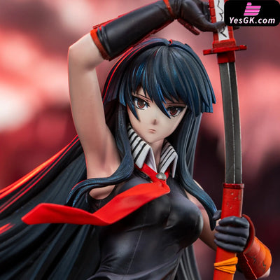 Akame Ga Kill Akame 1/6 Statue - Manta Studio [Pre-Order Closed] - Full Payment - Others