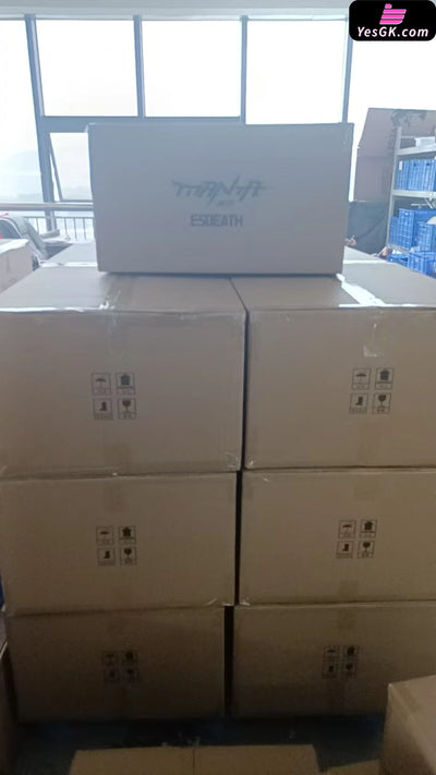 Akame ga Kill Esdeath GK Statue Manta Studio [In Stock] Others