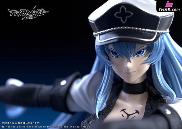 Akame ga Kill Esdeath GK Statue - Manta Studio [Pre-Order] Others