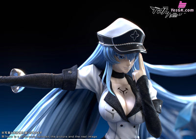 Akame ga Kill Esdeath GK Statue - Manta Studio [Pre-Order] Others