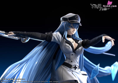Akame ga Kill Esdeath GK Statue - Manta Studio [Pre-Order] Others