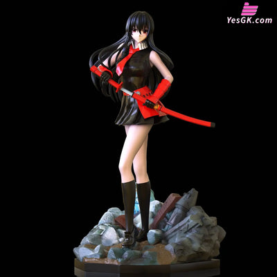 Akame Ga Kill! Resin Statue - Camp Studio [Pre - Order] Deposit / Character Others