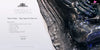 Alien Big Chap 3D Wall Art GK Statue - Deep Tale Studio [Pre-Order] Others