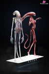 Alien: Covenant 1/1 Chestburster Statue - Deep Tale Studio [Pre-Order] - Deposit / Duo Set Edition - Others