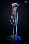 Alien: Covenant 1/1 Chestburster Statue - Deep Tale Studio [Pre-Order] - Deposit / Museum Art Edition - Others