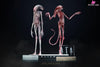 Alien: Covenant 1/1 Chestburster Statue - Deep Tale Studio [Pre-Order] - Others