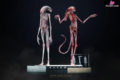 Alien: Covenant 1/1 Chestburster Statue - Deep Tale Studio [Pre-Order] - Others