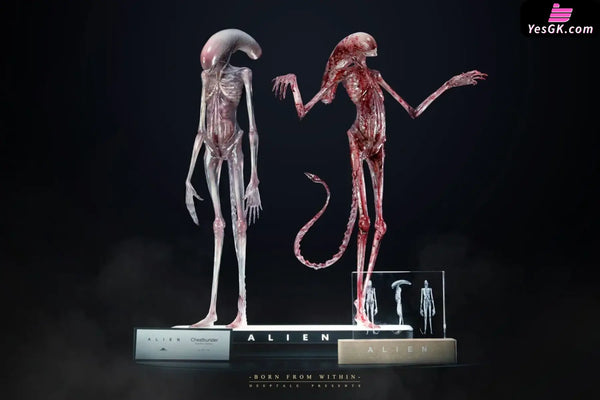 Alien: Covenant 1/1 Chestburster Statue - Deep Tale Studio [Pre-Order] - Others