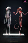 Alien: Covenant 1/1 Chestburster Statue - Deep Tale Studio [Pre-Order] - Others