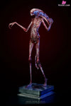 Alien: Covenant 1/1 Chestburster Statue - Deep Tale Studio [Pre-Order] - Others