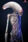 Alien: Covenant 1/1 Chestburster Statue - Deep Tale Studio [Pre-Order] - Others