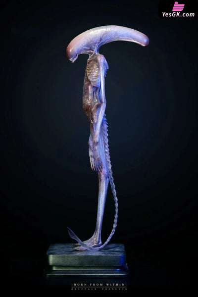 Alien: Covenant 1/1 Chestburster Statue - Deep Tale Studio [Pre-Order] - Others