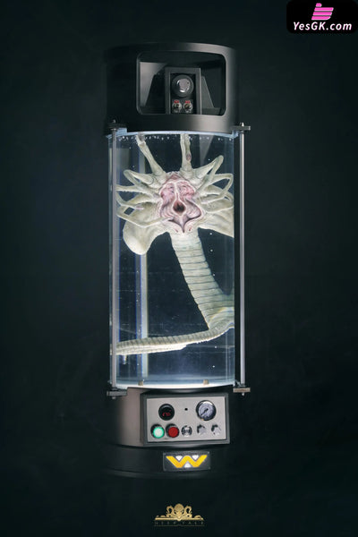 Alien Facehugger Stasis Chamber GK Statue - Deep Tale Studio [Pre-Order] Deposit Others