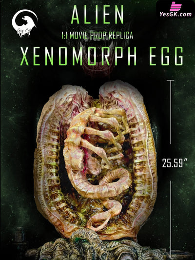 Alien Movie Prop Grade 1/1 Egg Dissection Statue - Gig Art Studio [Pre-Order] Others