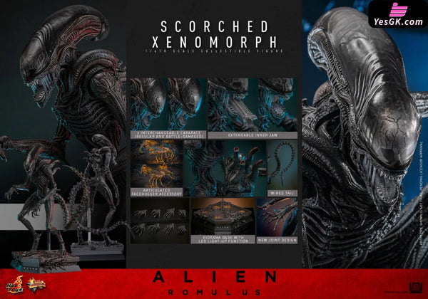 Alien: Romulus Scorched Xenomorph MMS784 (Licensed) Action Figure - Hottoys Studio [Pre-Order] Full Payment Others