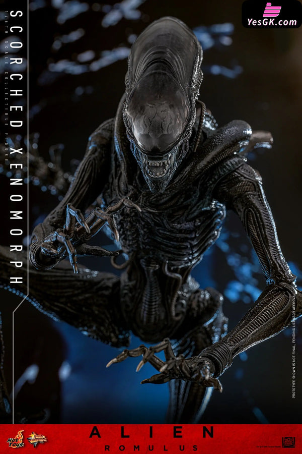Alien: Romulus Scorched Xenomorph MMS784 (Licensed) Action Figure - Hottoys Studio [Pre-Order] Others